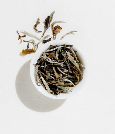 White Peony Tea
